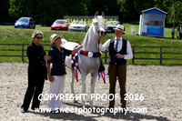 IN-HAND Supreme Championship