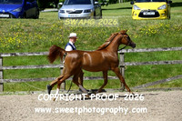 IN-HAND ECAHO Fillies yrlgs
