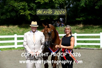 IN-HAND ECAHO Geldings Championship