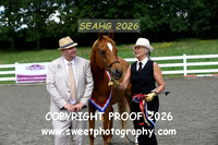 IN-HAND Golden Oldie