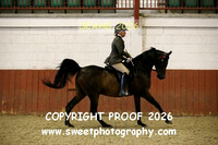 RIDDEN Novice Geldings