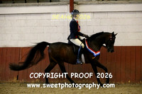 RIDDEN Novice Arab Championship