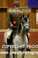RIDDEN HOYS Geldings