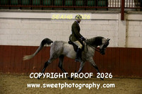 RIDDEN HOYS Championship