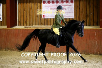 RIDDEN Home Produced Arabs