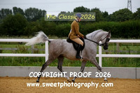RIDDEN Novice Gelding