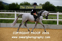 RIDDEN HOYS Stallions