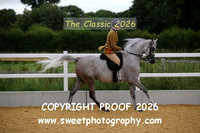 RIDDEN HOYS Geldings