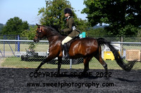 RIDDEN Novice Arab Mares
