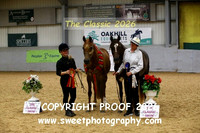 IN-HAND Arab Mares Championship