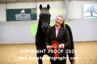 IN-HAND Arab Stallions Sr