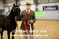 IN-HAND Anglo PBA Youngstock