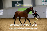 IN-HAND Young Handlers