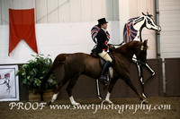 Sunday Ridden Geldings