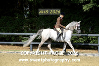 SATURDAY RIDDEN Restricted Stallion