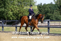 SATURDAY RIDDEN Restricted Geldings