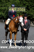 SATURDAY RIDDEN Coloured and High Percentage
