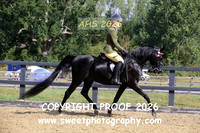 SATURDAY RIDDEN Novice Stallion
