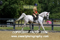 SATURDAY RIDDEN Novice Geldings