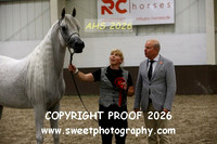 SUNDAY IN-HAND ECAHO Geldings 4-7 yrs