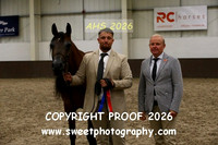 SUNDAY IN-HAND ECAHO Geldings 8-14 yrs