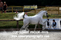 SATURDAY IN-HAND BNC Stallions 4-14 yrs