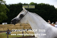 SATURDAY IN-HAND BNC Stallions Veterans