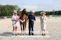 SATURDAY IN-HAND BNC Fillies Yrlg Championship