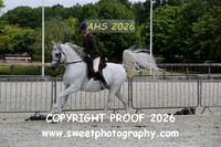 SUNDAY RIDDEN HOYS Geldings Part 1 Go Round