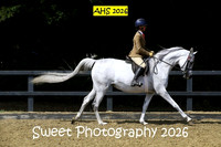SATURDAY Ridden Novice Mares
