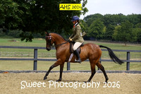 SATURDAY Ridden Anglo Novice