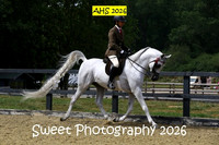 SATURDAY Ridden BNC Stallions