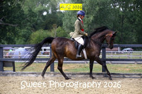 SATURDAY Ridden BNC Geldings
