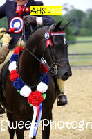 SATURDAY Ridden Supreme Amateur Home Produced Championship