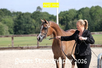 SATURDAY In-Hand BNC Fillies 2 yrs