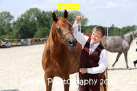 SATURDAY In-Hand BNC Mares 4-7 yrs