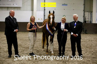 SATURDAY Evening In-Hand BNC Jr Geldings