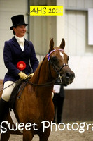 SATURDAY Evening BNC Ridden Novice