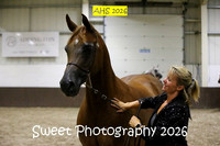 SATURDAY Evening BNC Sr Geldings