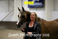 SATURDAY Evening BNC In-Hand Jr Female