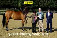 SUNDAY Young Handlers Junior
