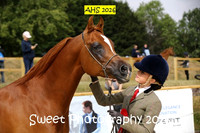 SUNDAY Young Handlers Intermediate and Championship