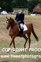 SUNDAY RIdden Dressage