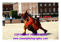 MOUNTED GAMES Race 6