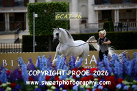 Day 2 Stallions Class 6B 97 Waliandro