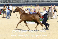 Day 1 Fillies Yrlgs Class 1A Marizka