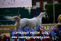 Day 2 Stallions Class 6B 100 BC IBN HEJAZ