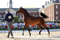 Day 1 Fillies Class 2A 40 Diriyah Aymal