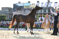 Day 1 Jr Fillies Class 2B ROE Rawyah