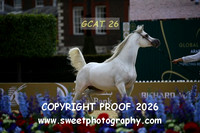 Day 2 Sr Stallions Class 6A 86Pschand Exxallento